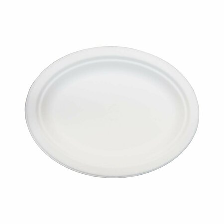 GREEN WAVE INTERNATIONAL PE 7.5 x 10 in. Bagasse Evolution Oval Platter, White POO-016  (PE)